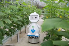 发力数字乡村——金年会体育金字招牌信誉至上与福建省农科院推出5G农业智能机器人