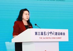 王晶：打造“数字中国”的先锋示范区